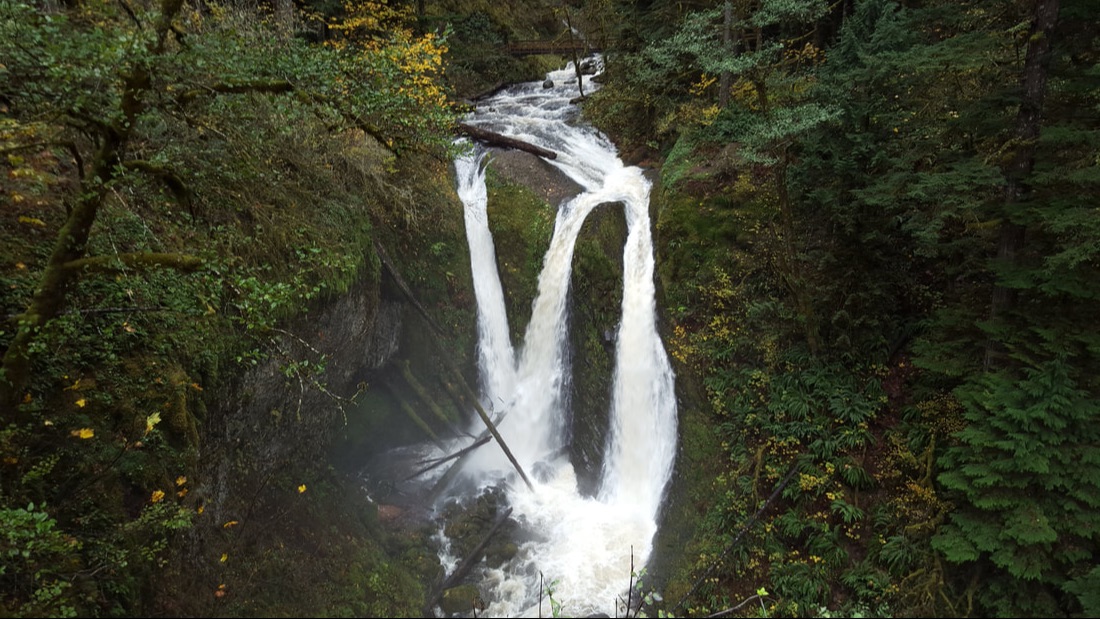 Just a nice picture for you to enjoy